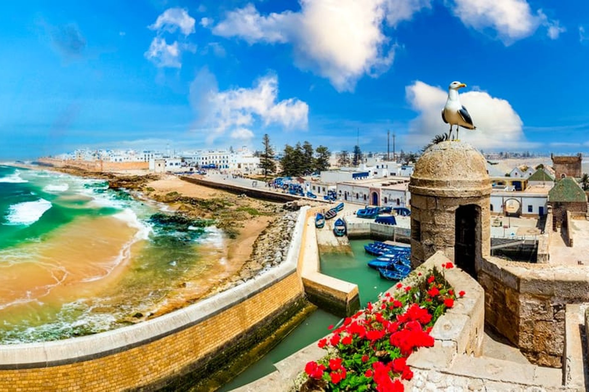 Excursion d'une journée à Essaouira avec prise en charge à l'hôtel