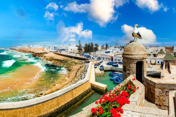 Excursion d'une journée à Essaouira avec prise en charge à l'hôtel par Youssef