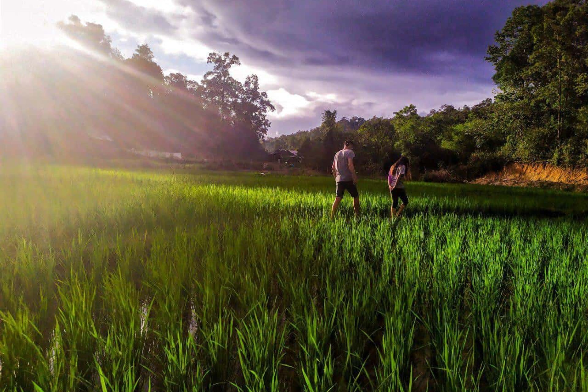 Eco-trek privé une journée chez les Karen