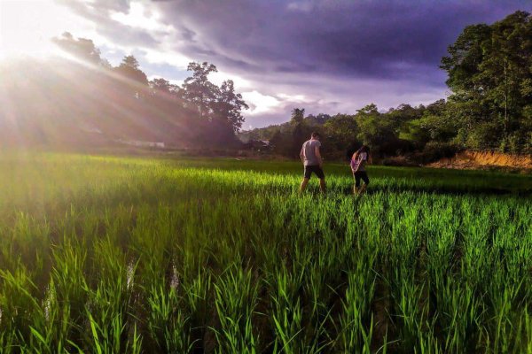 Eco-trek privé une journée chez les Karen par Sawasdee Thailande