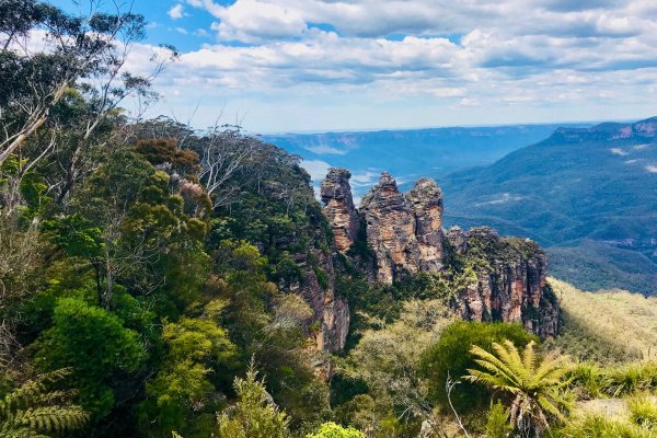 Depuis Sydney : Excursion aux Blue Mountains par Oliver
