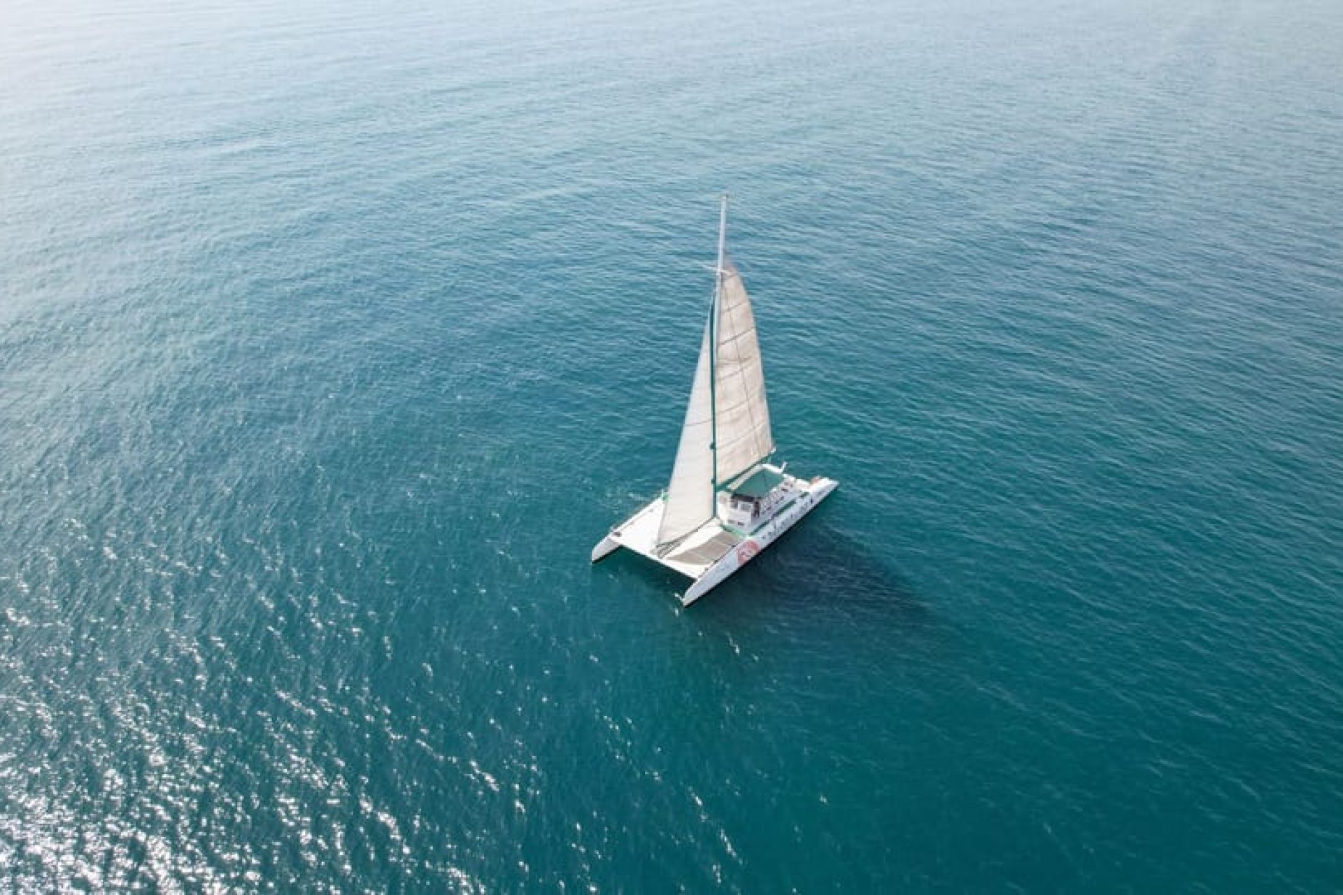 Valence : Croisière en catamaran à voile avec déjeuner valencien