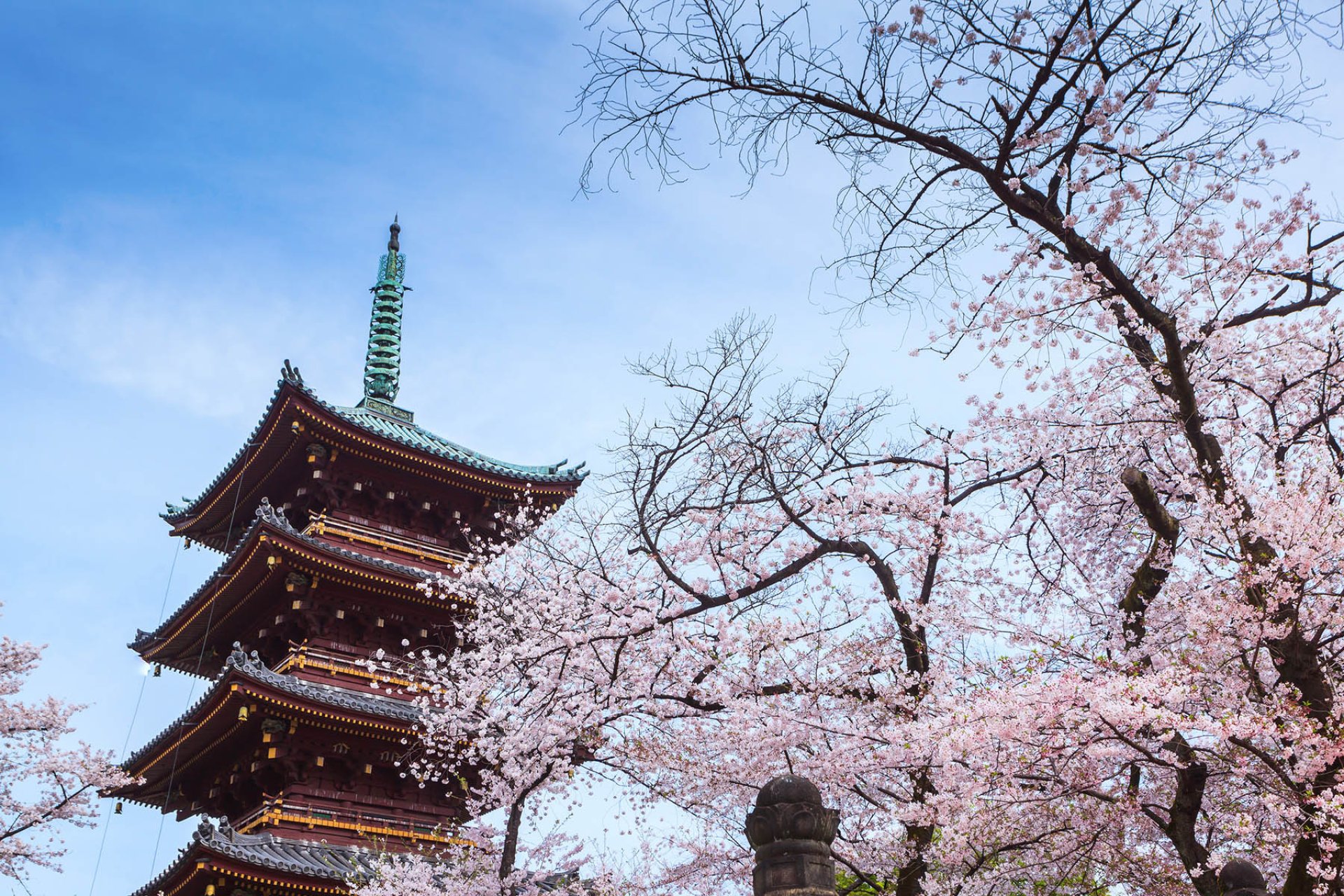 Explorer Tokyo en Une Journée : Les Incontournables