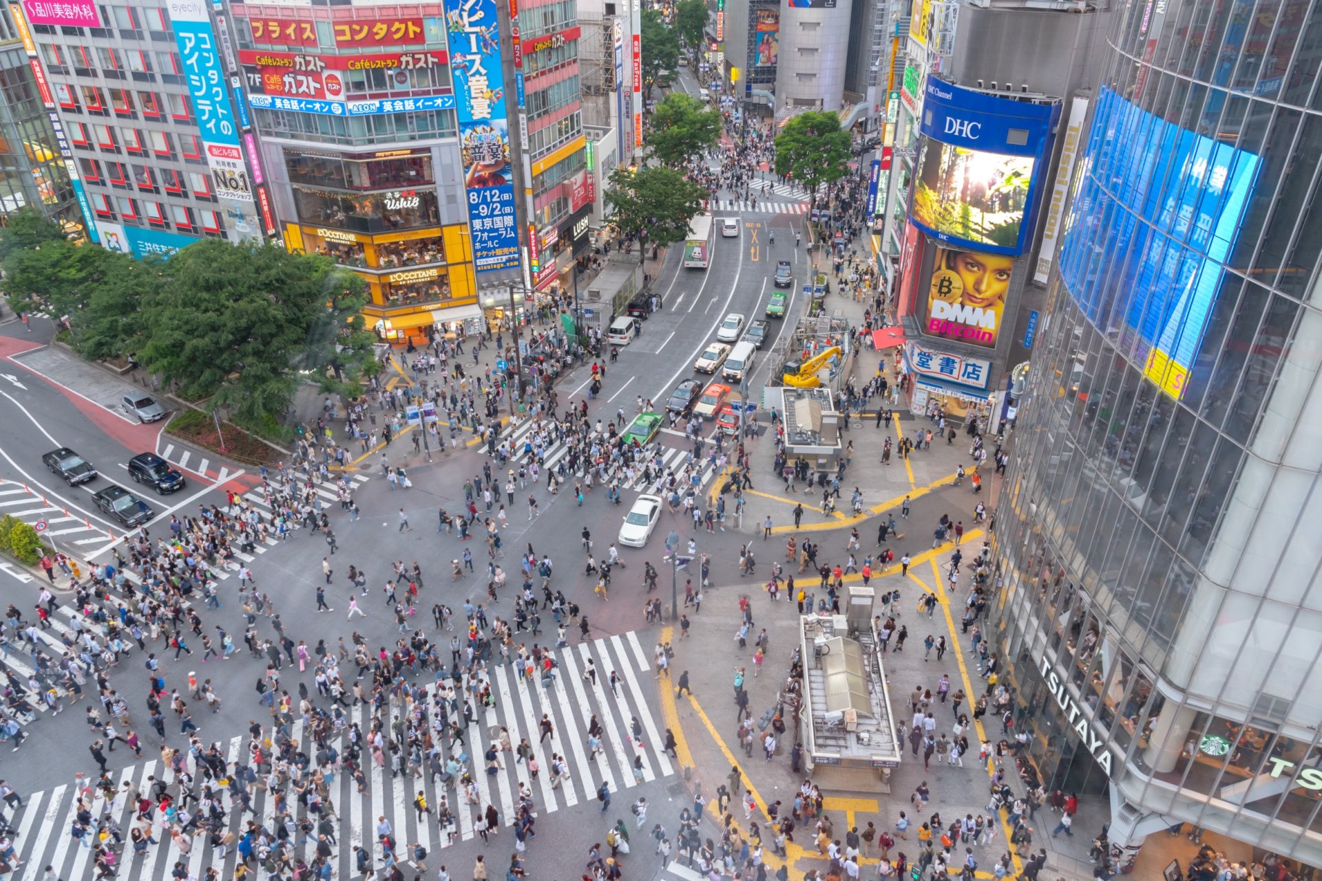 carrefour Hachikō (Shibuya Crossing)