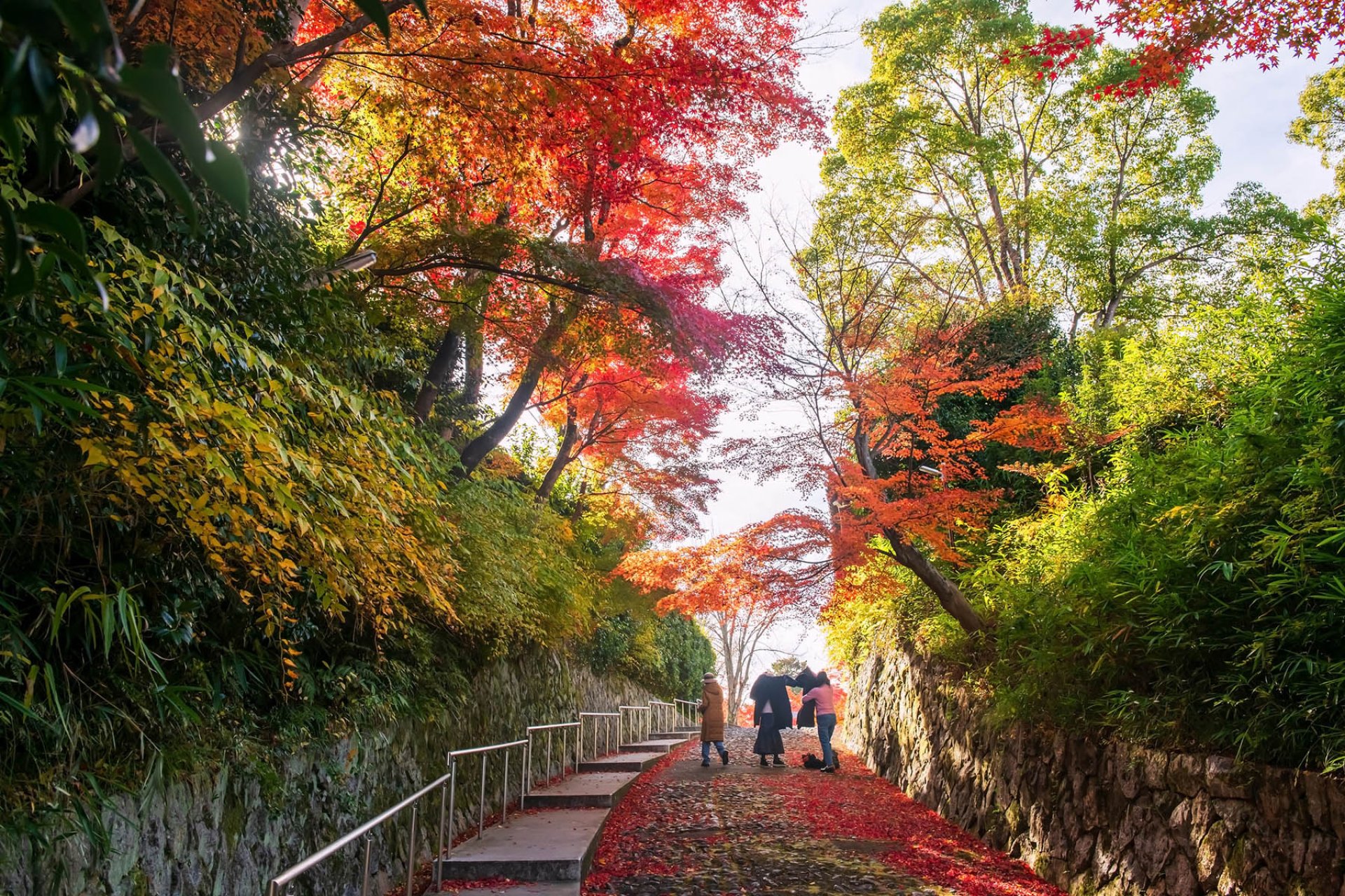 Sapporo hors des sentiers battus : adresses secrètes et perles cachées