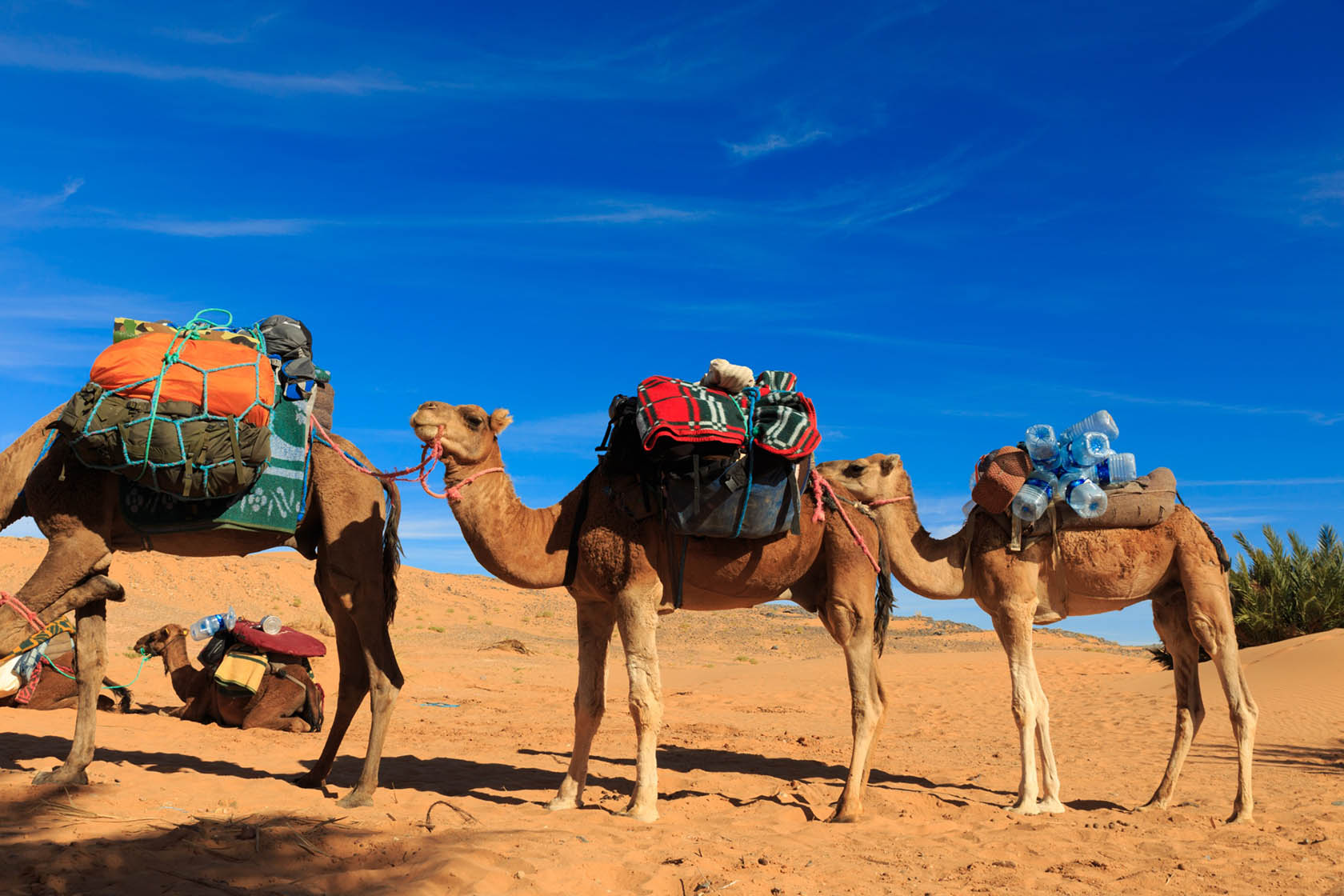 Guide francophone sur Maroc